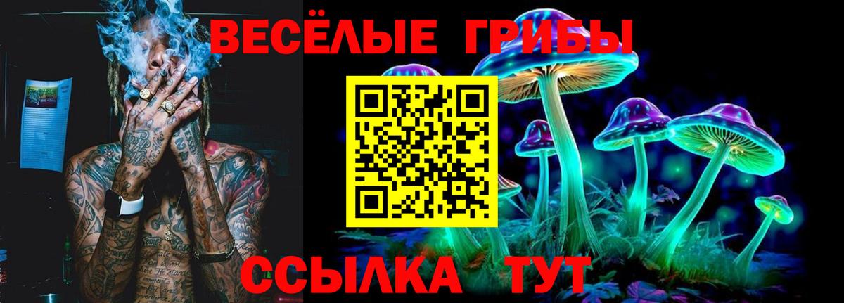 Галлюциногенные грибы Magic Shrooms Киселёвск